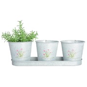 ����� �����