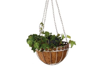 ������� ��� ������ �� �������