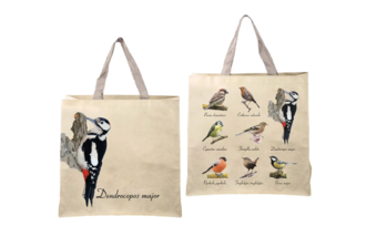 ����� ������������� "�����"