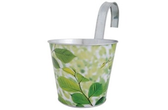 ����� ��� ������