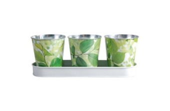 ����� ����� ��� ������