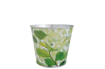 ������ ���������