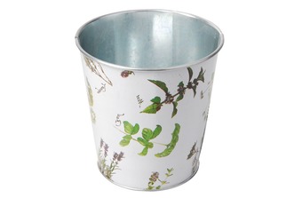 ������ ��� ������