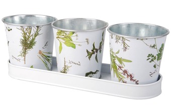 ����� ����� ��� ������