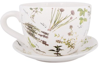 ����� ��� ������