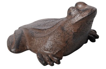 ������������ ���������� ����� "�������"