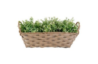 ������� �������� ��� ������