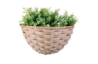 ������� ��� ������ �������