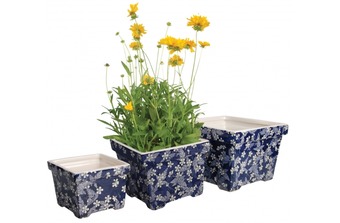 ����� ������������ ������� ��� ������