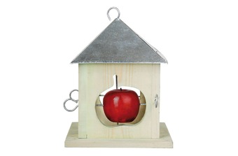 �������� ��� ����