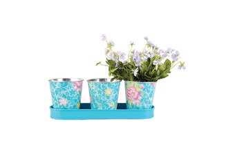 ����� ����� ��� ������