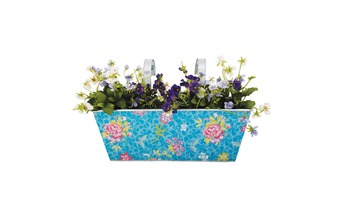 ����� ��� ������