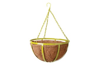 ����� ��� ������ ���������, �����