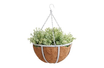 ����� ��� ������ ���������, �����