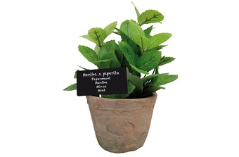 ������ � ������������� ��������� AH004