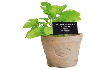 ������ � ������������� ��������� AH008