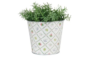 ����� ��� ������ ��������