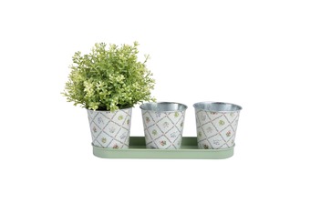 ����� ����� ��� ������