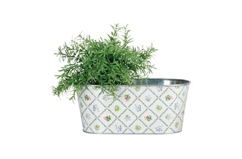 ����� ��� ������ ��������