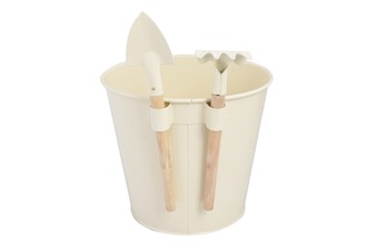 ����� ������������ � �����, �����