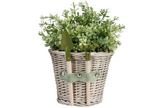 ����� ������������ � �����