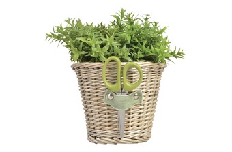 ����� ������������ � �����