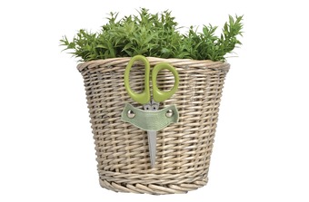 ����� ������������ � �����