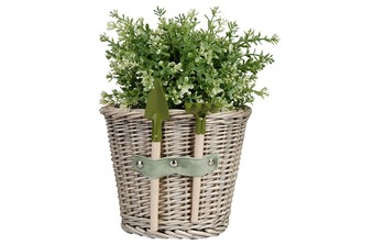 ����� ������������ � �����