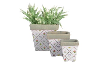 ����� ������� ������������ 3 ��