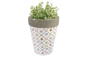 ������ ��� ������