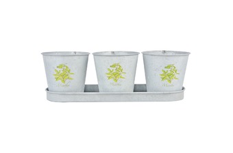 ����� �����